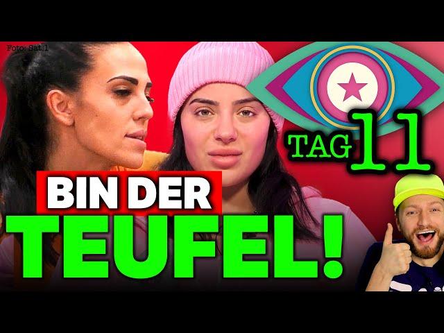 "ABARTIG & BÖSE!" Elena Miras will RACHE! Leyla SCHLÄGT ZURÜCK! Promi Big Brother 2024 Tag 11