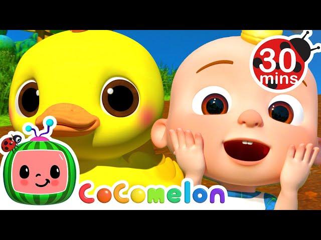 10 Little Duckies 30 MIN LOOP | More Nursery Rhymes & Kids Songs - CoComelon