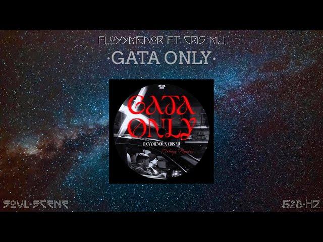 FloyyMenor FT Cris MJ - GATA ONLY (528 Hz // Healing Frequency)