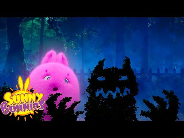 SUNNY BUNNIES COMPILATIONS - SPOOKY NIGHT | SEASON 1 MARATHON | Halloween Cartoons for Kids