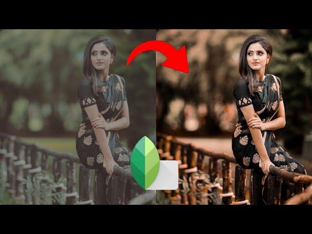 Snapseed  moody brown effect Editing | Snapseed tricks | Hammu edits