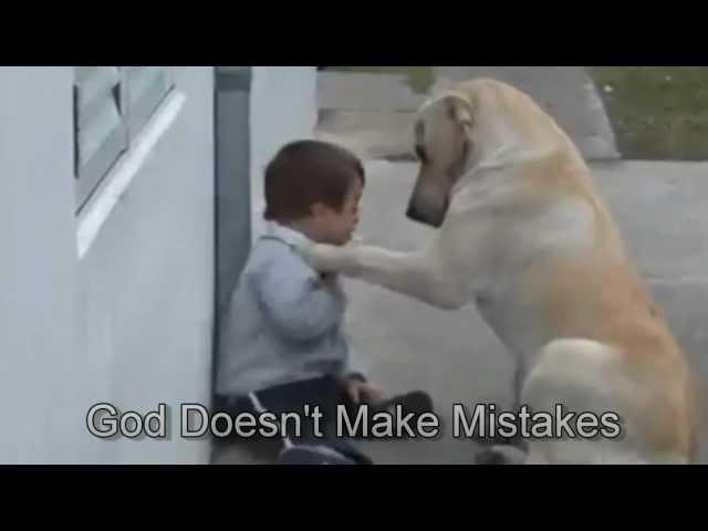 Sweet Mama Dog Interacting with a 3yo DS child From Jim Stenson.