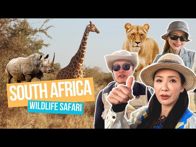 UNBELIEVABLE WILDLIFE ENCOUNTERS IN SOUTH AFRICA!   (Wildlife Safari) | JAMIE CHUA