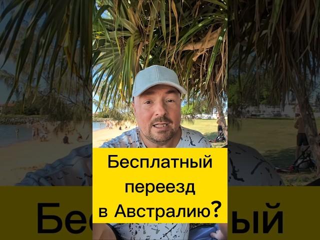 Бесплатный переезд Где подвох? #австралия #иммиграция #интереснаяавстралия #релокация #путешествия