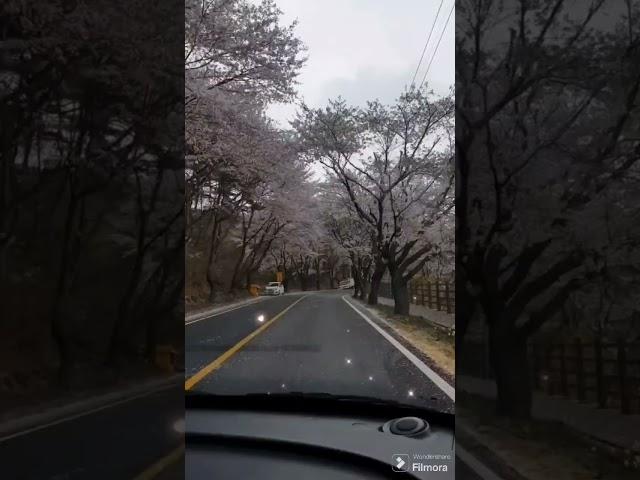 #Beautiful Sunday. #금강산도 식후경.일요일. #love