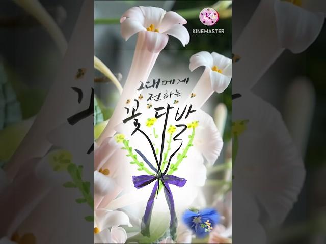 #김호중 #빛이나는사람 #캘리 #좋은글 #꽃향기정원