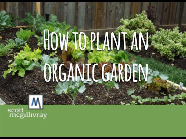 How to Plant an Organic Garden