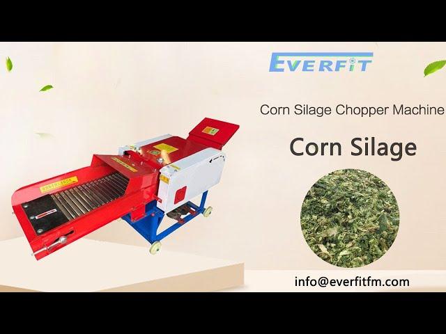 Corn Silage Chopper Machine：make the silage feed for cattle, horses, sheep, rabbits, etc.