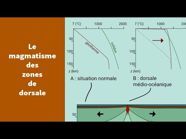 Le magmatisme des zones de dorsale - Première spécialité SVT