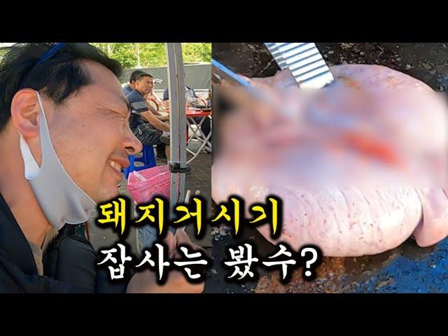 모란시장5일장. 돼지부속 무한리필 8천원(소주포함) 성남토박이 "미뇽"과 함께