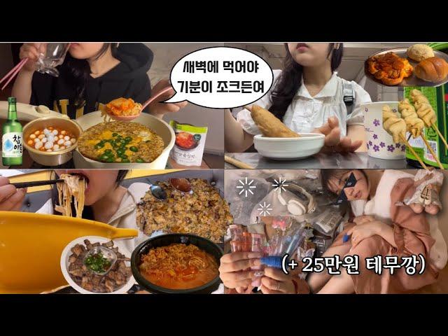 [먹방𝙑𝙇𝙊𝙂/34] 니 야식중독이다! 작심삼분 로미의 야식과의 전쟁ㅠ (라면,소주,마라탕,국물떡볶이,소갈비,김밥,차돌짬뽕,코다리찜)