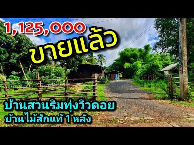 ️(2วันปิดการขายแล้วค่ะ บ้านสวนริมทุ่ง วิวดอยล้อมรอบ บ้านไม้สักแท้ มีบ่อเลี้ยงปลา อ.แม่แตง
