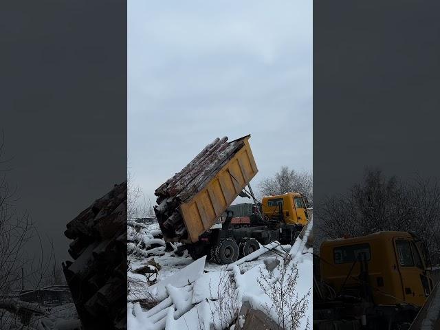 Выгрузка листвяка долготьем, Иркутск, IVECO ASTRA