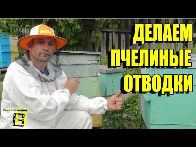 Make cuttings of bees