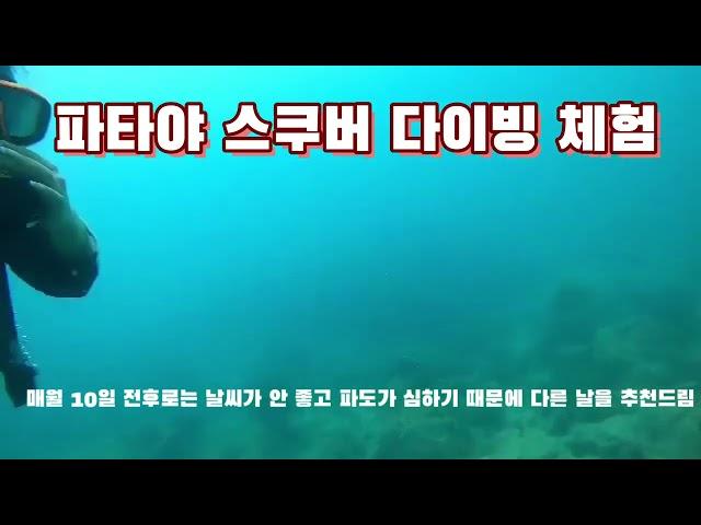 파타야 투어) 파타야에서 스쿠버 다이빙 체험