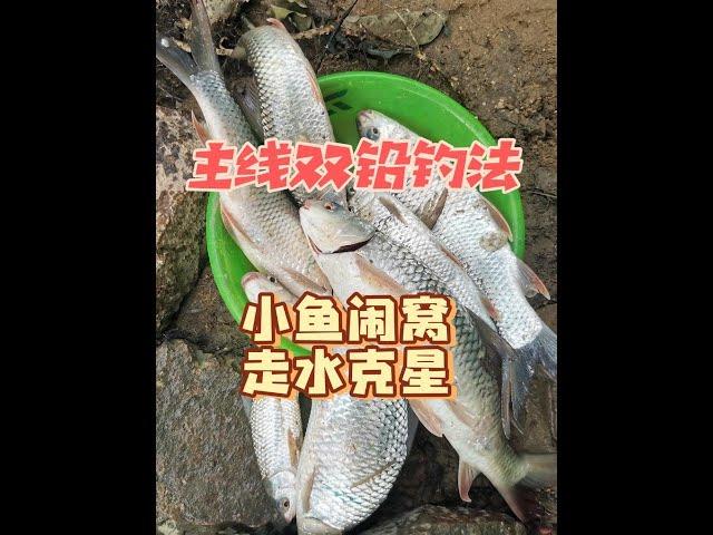 决定了，以后野钓但凡遇到小白条闹窝和走水，就用这种钓法，快速到底直击水底大货！简单调漂，新手也能一分钟学会#原来钓鱼才是抖音运动顶流 #双铅钓法 #钓鱼 #双铅调漂方法 #夏日钓鱼技术大赏