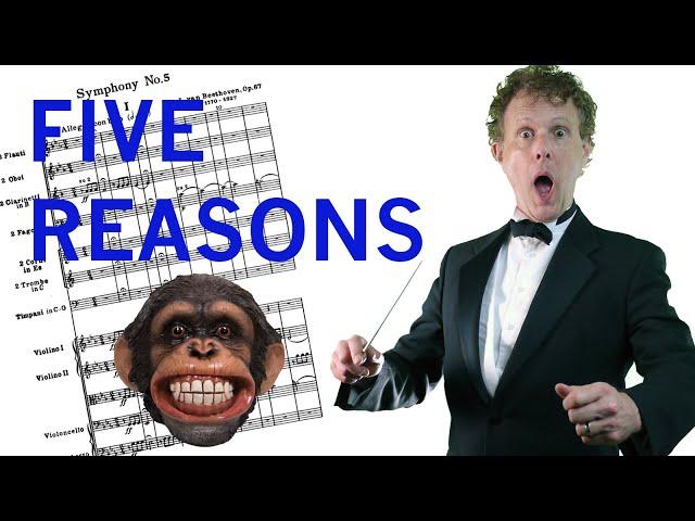 DOES AN ORCHESTRA NEED A CONDUCTOR!? - 5 reasons why -  Rainer Hersch