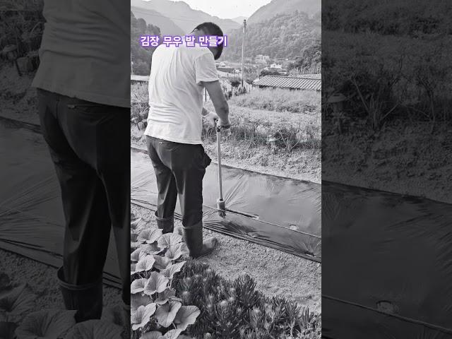 벌써 시간이 흘러 가을 채소 준비중  #쏜살같은시간 #주말농장 #농부의일상 #shorts