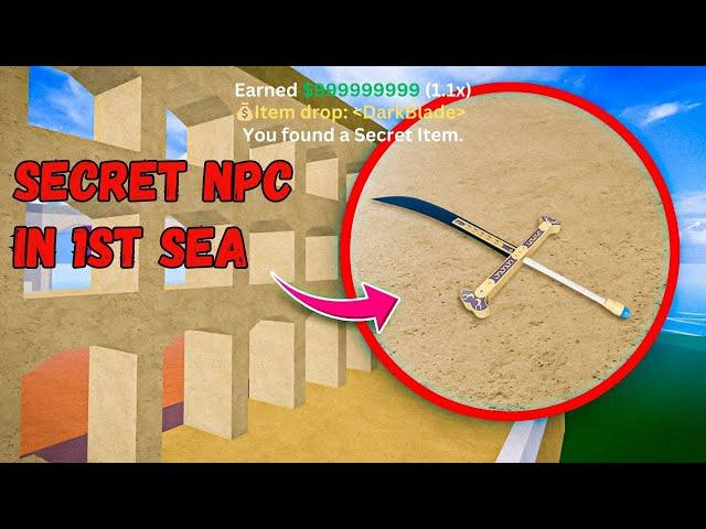 SECRET NPC IN 1ST SEA That You MISSED - Blox Fruits