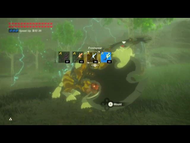 Gold Lynel Battle (Part 1-2)