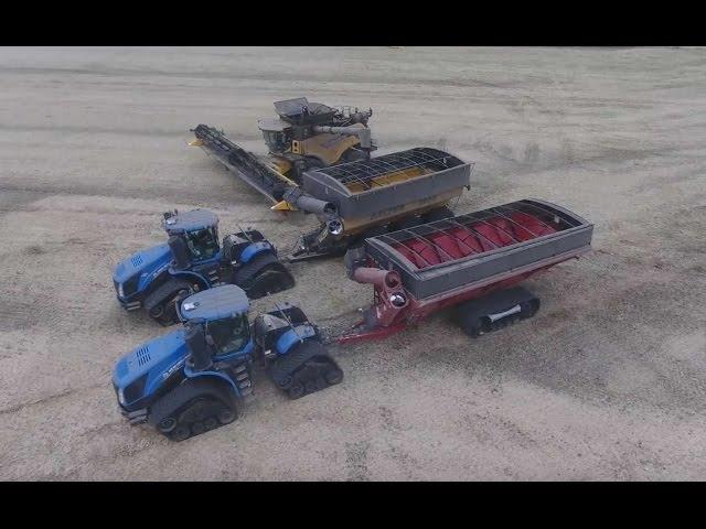 Canola harvest 2016. Canada. MY AGRO . #MYAGROTOURS