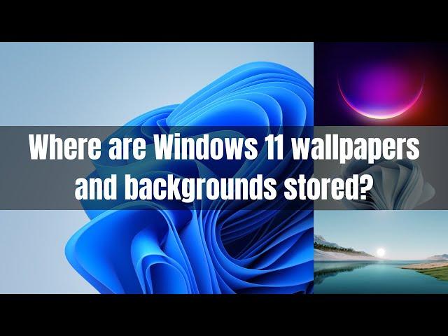 Where are Windows 11 theme wallpapers and backgrounds stored?