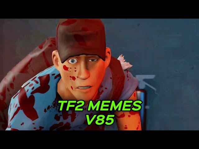 TF2 MEMES V85