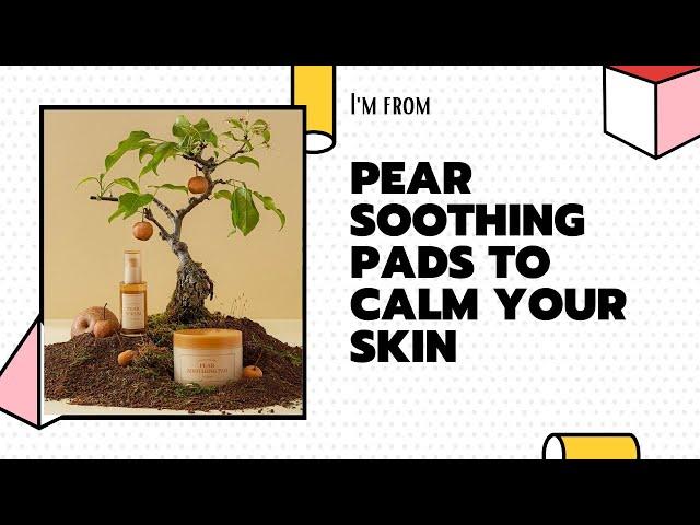 Pear Soothing Pads To Calm Your Skin | I'm from | YesStyle Korean Beauty