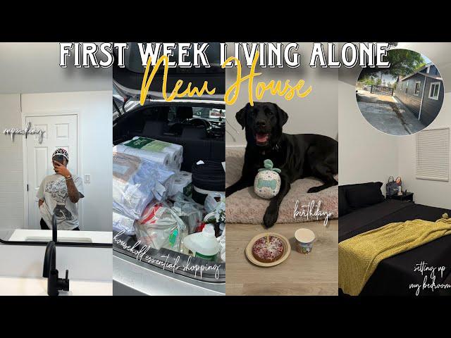 FIRST WEEK LIVING ALONE IN MY NEW HOUSE | celebrating, new appliances/furniture, target runs, + more