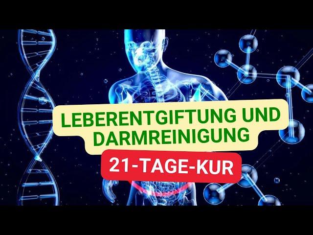 Leberentgiftung und Darmreinigung: Die 21-Tage-Kur