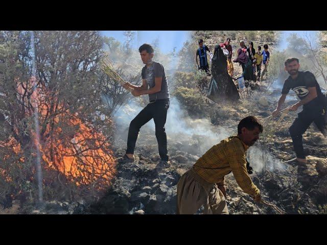 Flames Over the Highlands: A Nomadic Family’s Trial"
