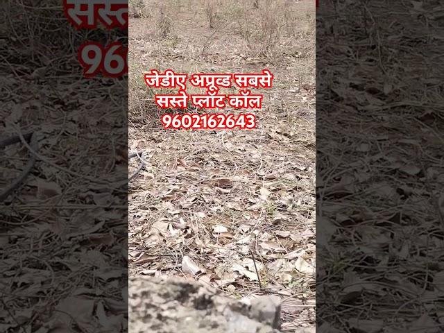 Sasta/Cheap Jda Plots On Diggi Malpura Road Jaipur #shorts #short #viral #trending #viralvideo #plot