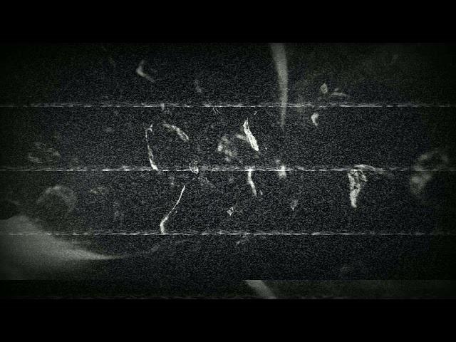 DRIVING TECHNO | DELIRIUM BY AEROMATIK | DEEP DEER RECORDS