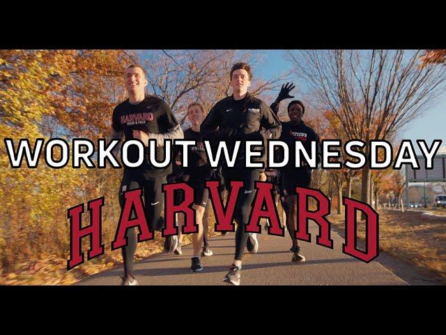 Graham Blanks, Harvard Rip Trophy-Chasing 2024 NCAA Cross Country Championship Workout Wednesday