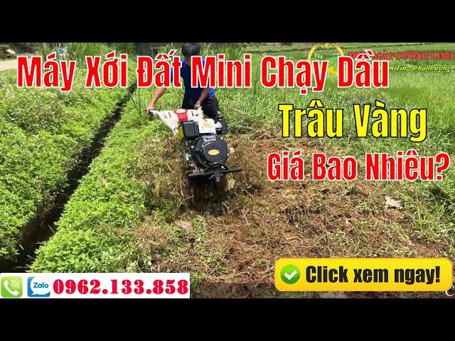 Giá Bán Máy Xới Đất Mini Chạy Dầu Trâu Vàng Mới Nhất