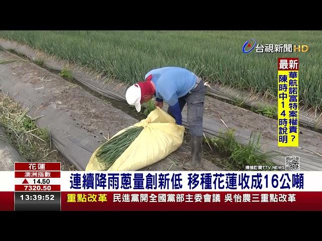 移地保種培育成功！花蓮三星蔥「回娘家」