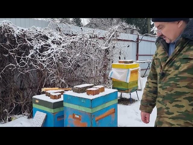 ️ Какой тип улья лучше себя показывает при зимовке пчел 2025 ️