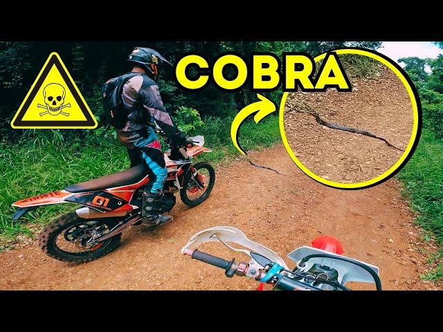 CRF x MXF QUAL É MELHOR? - RELOU NUMA COBRA NA TRILHA