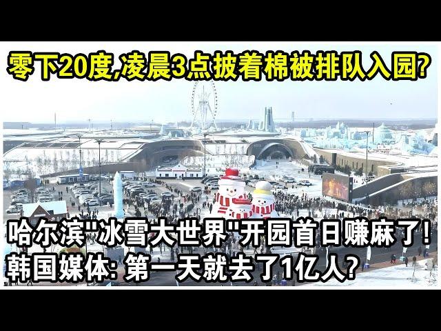 零下20度，凌晨3點披著棉被排隊入園？哈爾濱“冰雪大世界”開園首日現狀火遍全球！韓國媒體：第一天就去了1億人？