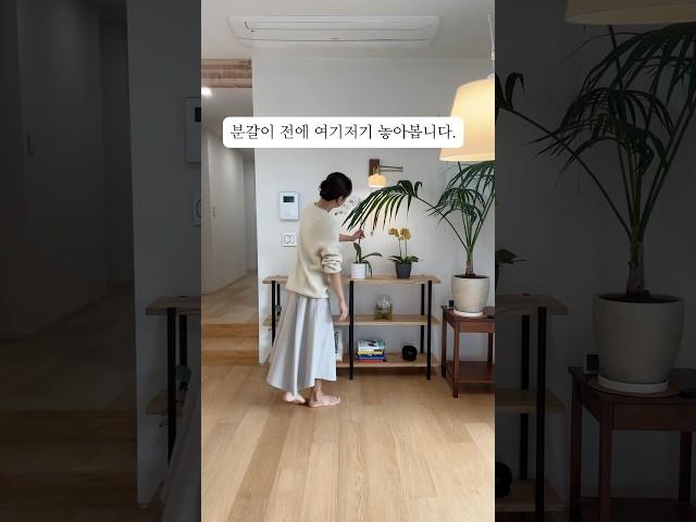 단독주택 장식장 커피 머신 거실 식물 인테리어 #거실인테리어 #장식장 #브레빌870