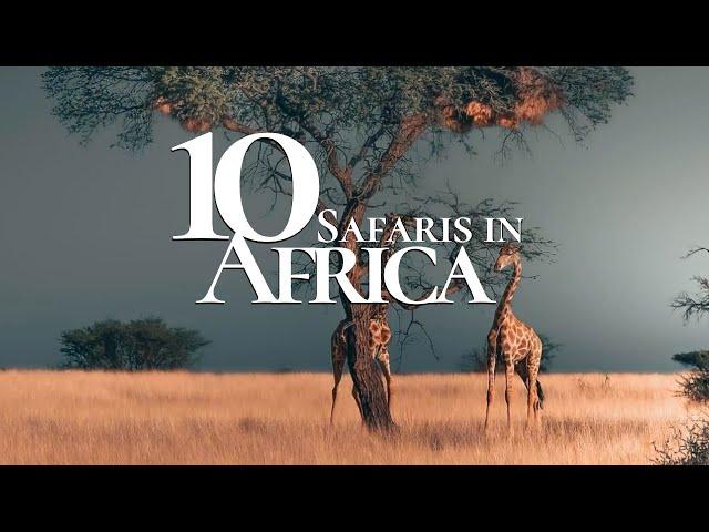 10 Most Beautiful Safaris to Visit in Africa  | Safari Travel Guide