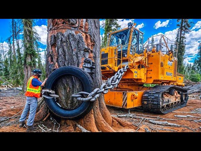 Extreme Dangerous Fastest Big Chainsaw Cutting Tree Machines | Monster Stump Removal Excavator #13