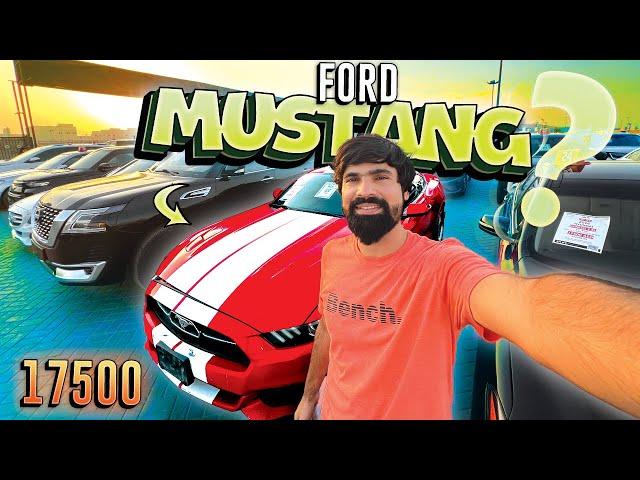 Affordable Ford Mustang In Dubai | Cheap Mustang In Dubai | How To Buy A Car In Dubai