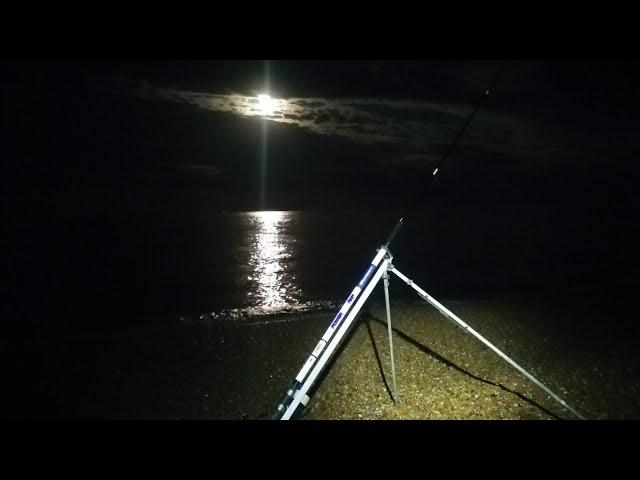 SMOOTH HOUND FISHING IN EASTBOURNE USING CRAB, LUGWORM AND SQUID (UK SEA FISHING)