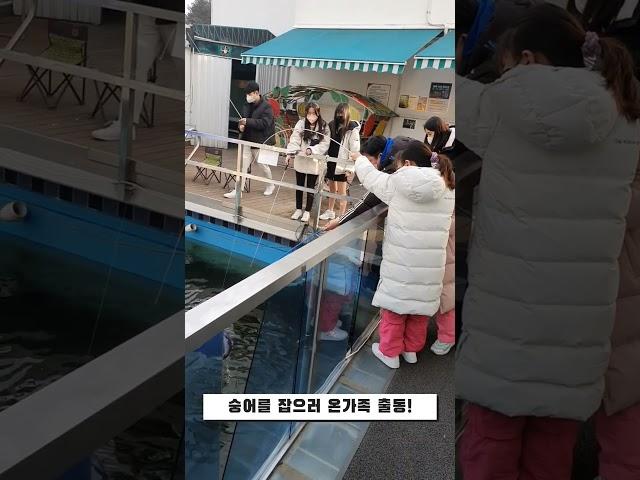 숭어잡이 숭어낚시