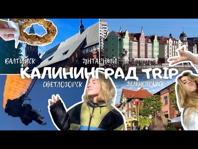 КАЛИНИНГРАД TRIP | САМЫЙ УЮТНЫЙ ГОРОД РОССИИ | ПОЛЕТ НА ПАРАПЛАНЕ