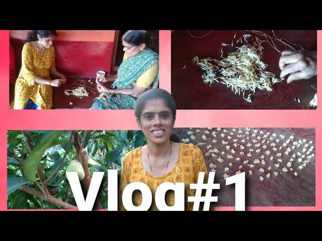 1st Vlog//Mallika Kitchen And Vlogs