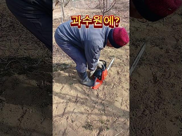 고장인가뵈~ #시골생활