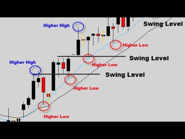 Hustle Trading Fx -  How To Profit From Highs And Lows