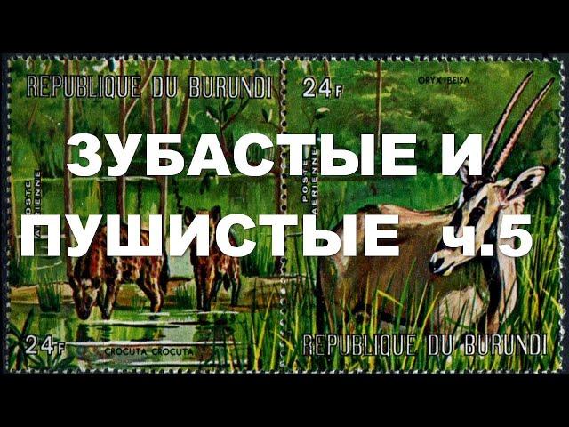 Зубастые и пушистые - 5